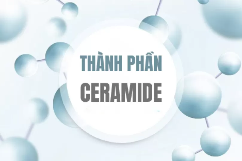 THÀNH PHẦN CERAMIDE TRONG MỸ PHẨM CÓ CÔNG DUNG GÌ? HƯỚNG DẪN CÁCH BỔ SUNG CHO TỪNG LOẠI DA